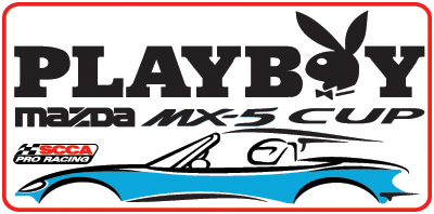 PLAYBOY-series logo.png